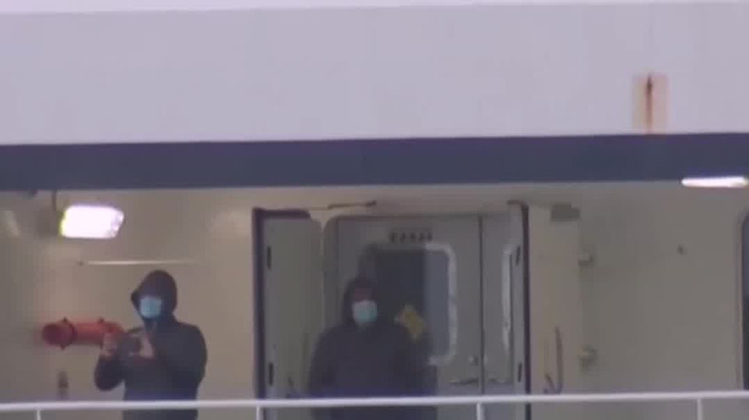 澳洲游客被困病毒邮轮？ 汉坦病毒到底是什么